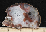 Texas Plume Agate 492