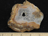 Texas Plume Agate 477