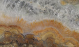 Texas Plume Agate 477