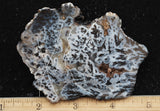 Texas Plume Agate 491