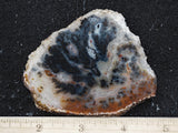 Texas Plume Agate 490