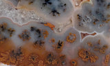 Texas Plume Agate 490