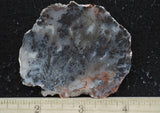 Texas Plume Agate 496