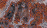 Texas Plume Agate 483