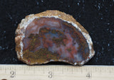 Texas Plume Agate 499