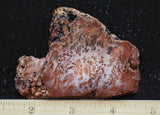 Texas Plume Agate 475