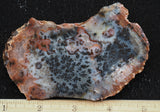 Texas Plume Agate 468