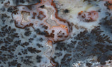 Texas Plume Agate 468