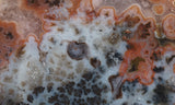 Texas Plume Agate 468