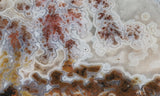 Texas Plume Agate 469