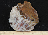 Texas Plume Agate 469