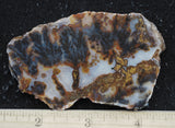 Texas Plume Agate 467