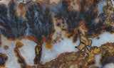 Texas Plume Agate 467