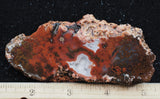 Texas Plume Agate 485