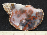 Texas Plume Agate 473