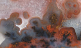 Texas Plume Agate 473