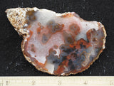 Texas Plume Agate 473