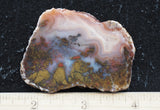 Texas Plume Agate 474