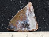 Texas Plume Agate 493