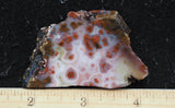 Texas Plume Agate 482