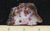 Texas Plume Agate 482