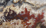 Blue Moon Plume Agate Slab 472