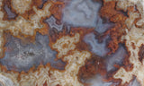 Blue Moon Plume Agate Slab 481