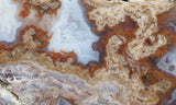 Blue Moon Plume Agate Slab 462