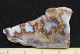 Blue Moon Plume Agate Slab 462