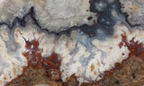 Blue Moon Plume Agate Slab 473