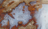 Blue Moon Plume Agate Slab 482