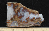 Blue Moon Plume Agate Slab 479