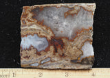 Blue Moon Plume Agate Slab 460