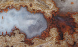 Blue Moon Plume Agate Slab 460