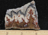 Blue Moon Plume Agate Slab 464