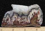 Blue Moon Plume Agate Slab 477