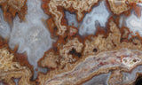 Blue Moon Plume Agate Slab 459