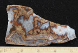 Blue Moon Plume Agate Slab 459