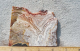 Bargain Bin F Slab 242