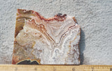 Bargain Bin F Slab 242