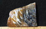 Bull Canyon 373