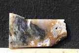 Bull Canyon 382