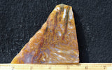 Bull Canyon 399