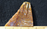 Bull Canyon 399
