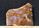 Bull Canyon 369
