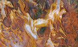 Bull Canyon 369