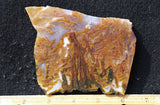 Bull Canyon 383