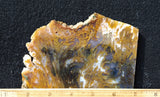 Bull Canyon 378