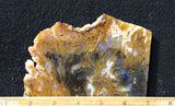Bull Canyon 378