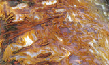 Bull Canyon 362